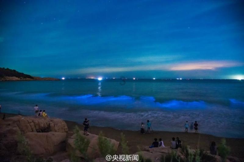 如何炒蒜苔炒肉游戏画面