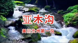 暴走小飞机